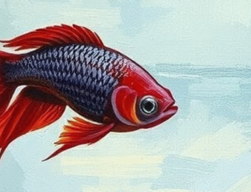 More Than a Fish